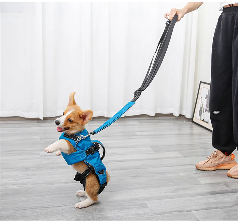 Dog Chest Carrier Harness Backpack with Walking Lead - onlinemegasale.com