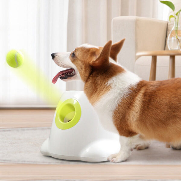 Automatic Throwing Dog Tennis Ball Launcher
