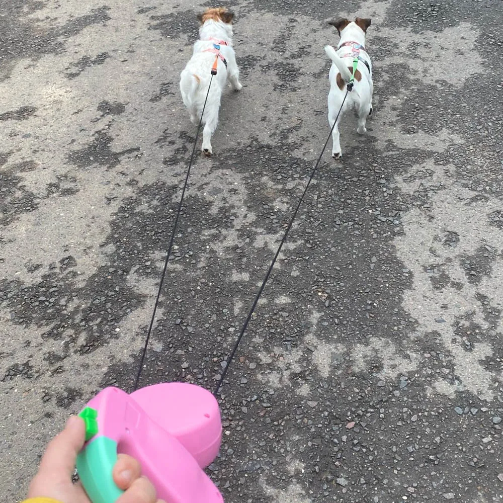 Dual Retractable Double Head Dog Leash No Tangle - onlinemegasale.com