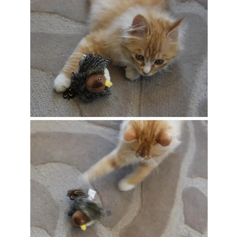 Singing Sparrow Shaped Bird Cat Toy - onlinemegasale.com