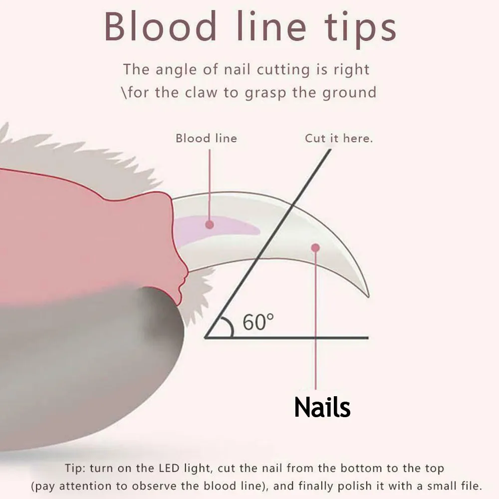Professional LED Safety Pet Nail Clippers Stainless Steel Convenient Nail Cutter - onlinemegasale.com