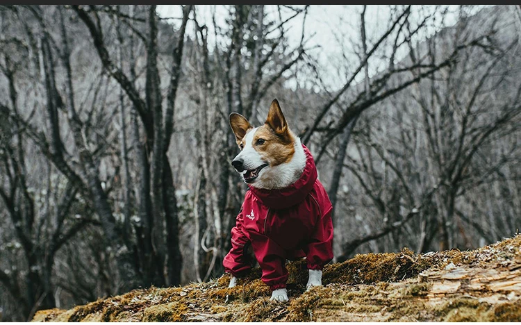 Dog Outdoor Waterproof Reflective Raincoat Medium Large Dogs - onlinemegasale.com