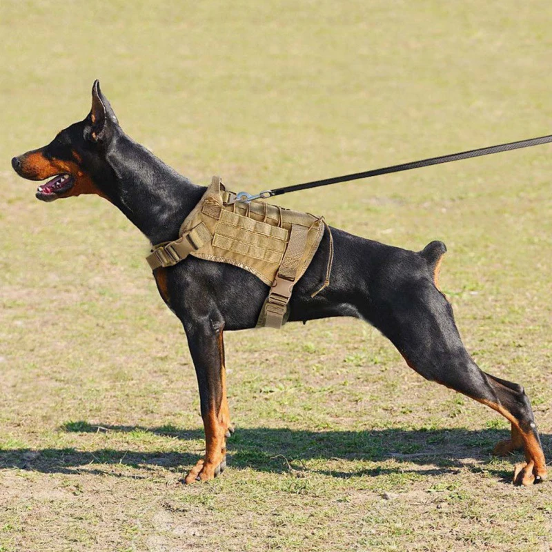 Tactical Breathable Adjustable Dog Vest harness - onlinemegasale.com