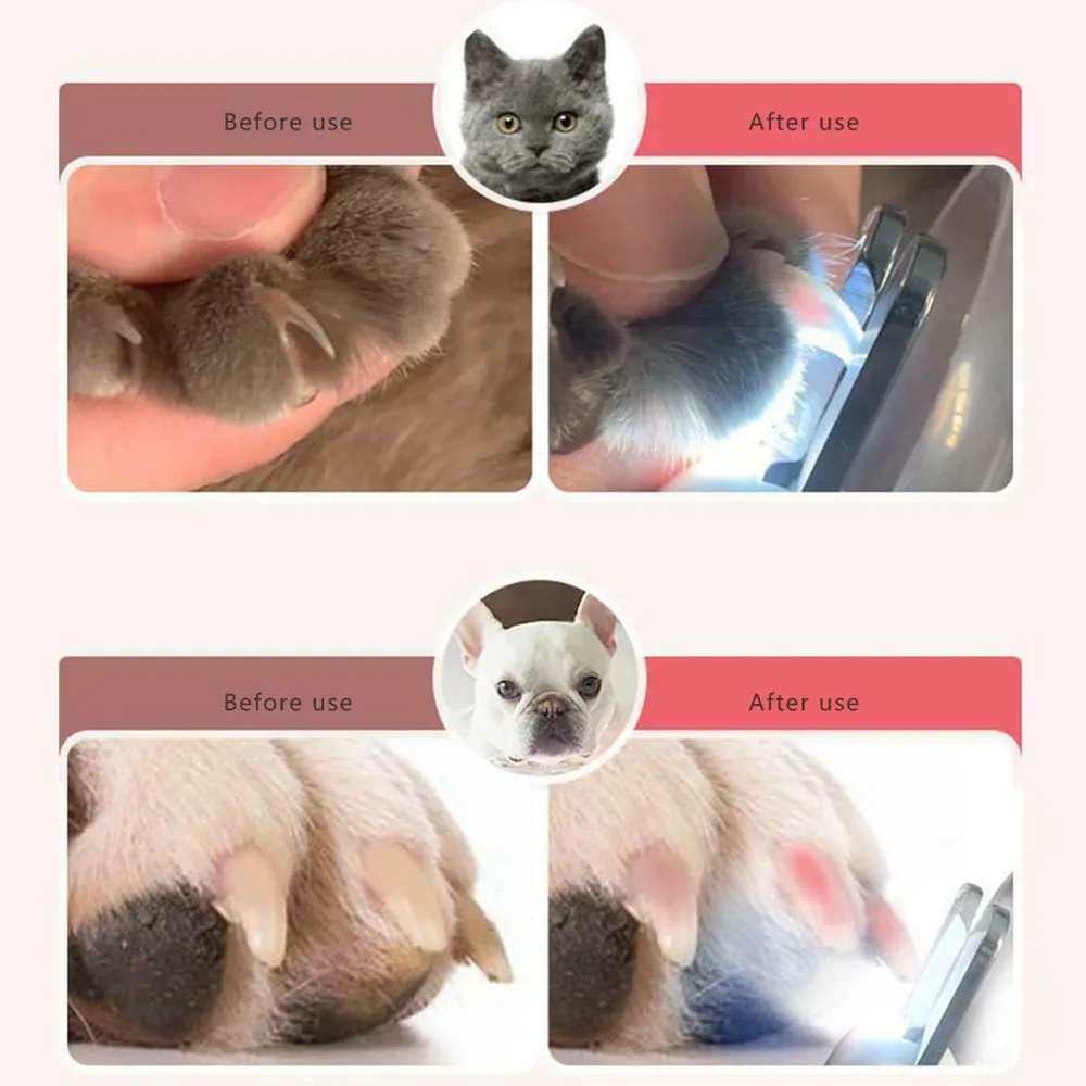 Professional LED Safety Pet Nail Clippers Stainless Steel Convenient Nail Cutter - onlinemegasale.com
