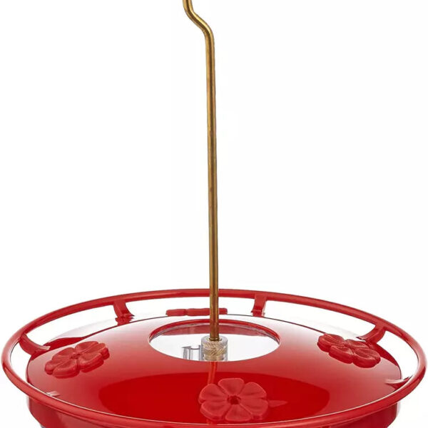 HummZinger 12 oz High View