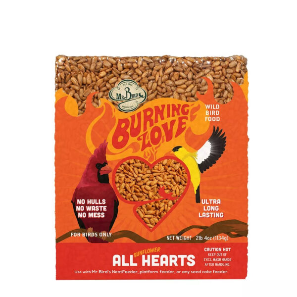 Mr. Bird Burning Love Seed Cylinder - Small