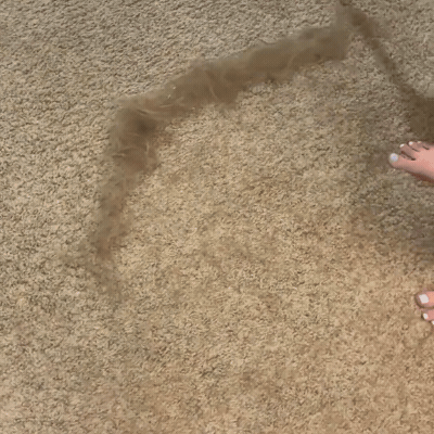 Hair Removal Broom - onlinemegasale.com