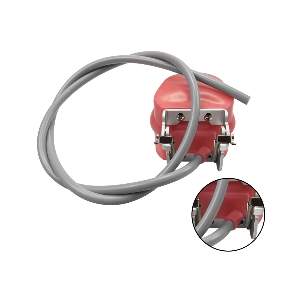 Simple Head Teeth Model Dental Simulator Phantom Head With Teeth for Dentist Education Teaching Training Manikin Head Model - onlinemegasale.com