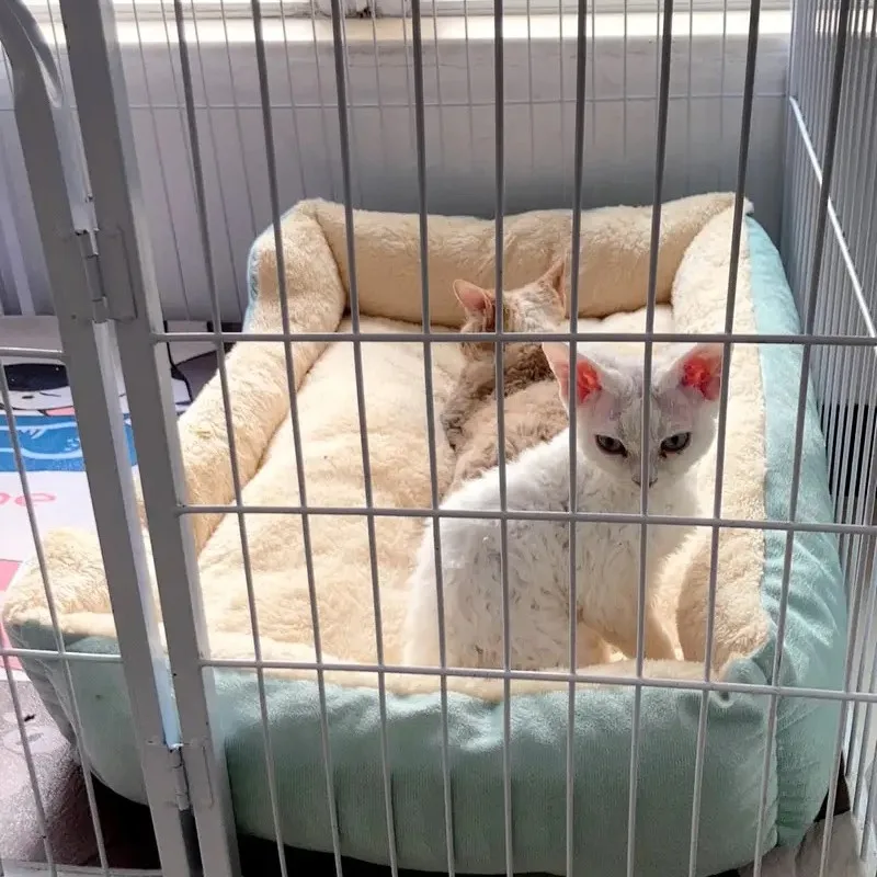 Warm Thickened Cat Bed - onlinemegasale.com