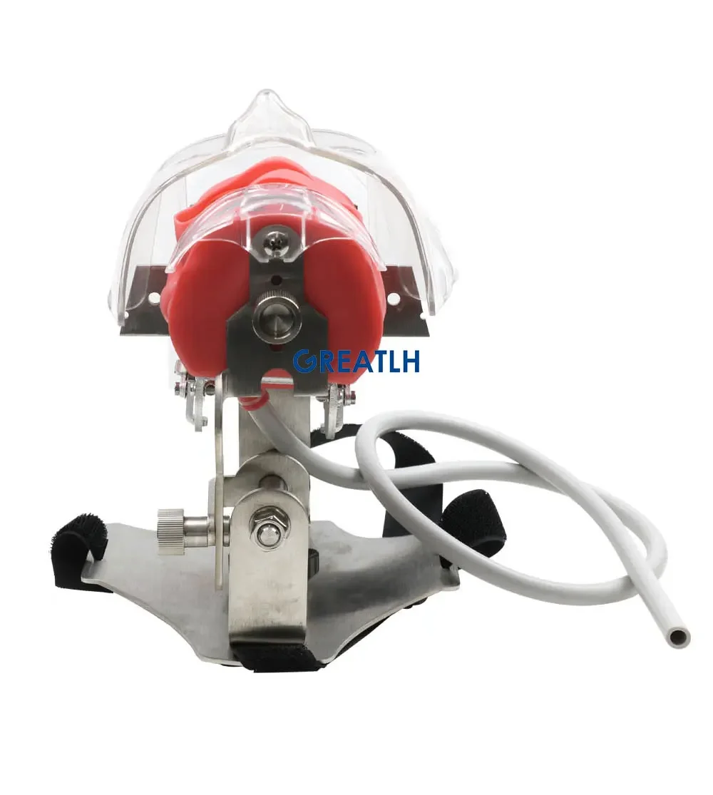GREATLH Dental Phantom Head with Teeth for Dentist Teaching Practice Dentist Model Manikin Head Model Dental Simulator - onlinemegasale.com