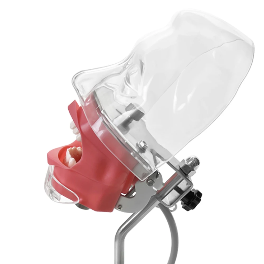 Simple Head Teeth Model Dental Simulator Phantom Head With Teeth for Dentist Education Teaching Training Manikin Head Model - onlinemegasale.com