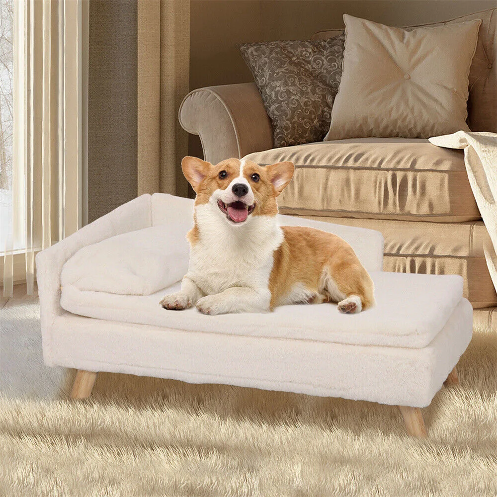 Luxury Elevated Dog Sofa Bed with Backrest Plush Cushion - onlinemegasale.com