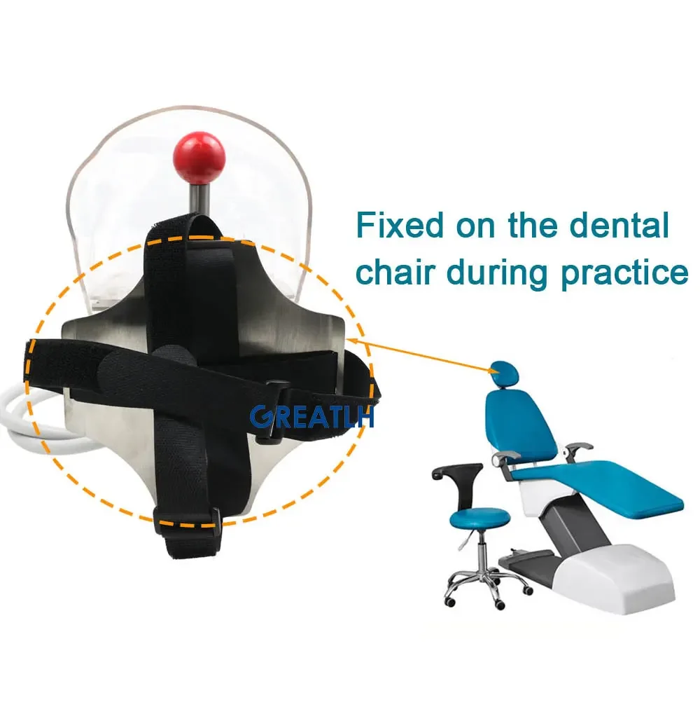 GREATLH Dental Phantom Head with Teeth for Dentist Teaching Practice Dentist Model Manikin Head Model Dental Simulator - onlinemegasale.com