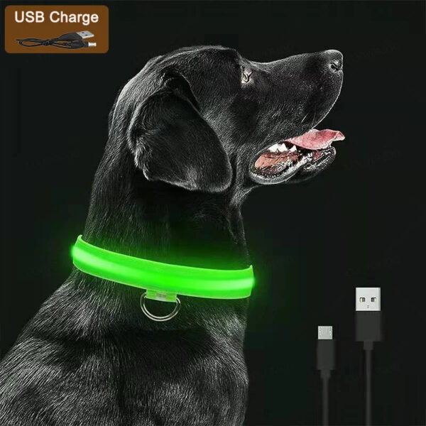 3 Modes LED Dog Collar - USB Rechargeable Glow Collar for Dogs & Cats with Detachable Night Safety Light