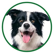 Teeth Cleaning and Fresh Breath Dental Care Gel - onlinemegasale.com