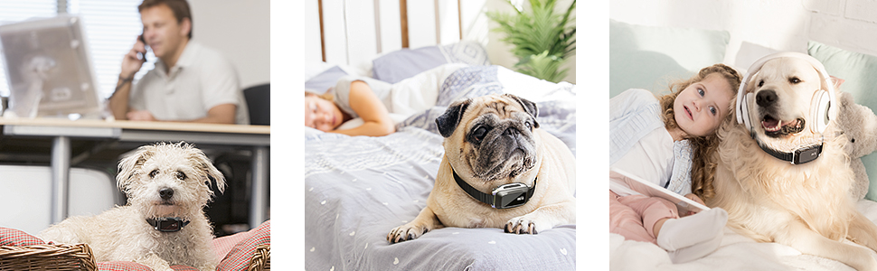 rechargeable bark collar dog bark collar for small medium large dog training collar no bark collar