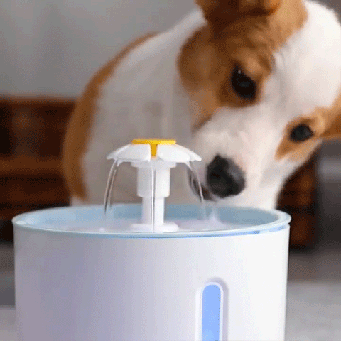 Automatic Fountain Pet Drinking Water Dispenser - MeowTeam – Meow Team