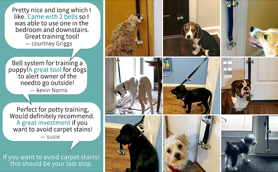 dog doorbell