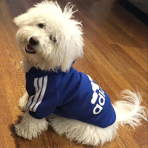 Adidog Dog Sport Hoodies