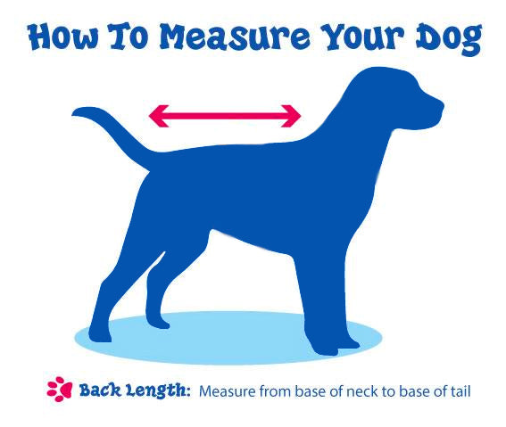 Dog Bathrobe Super Absorbent Bath Drying Towel - onlinemegasale.com