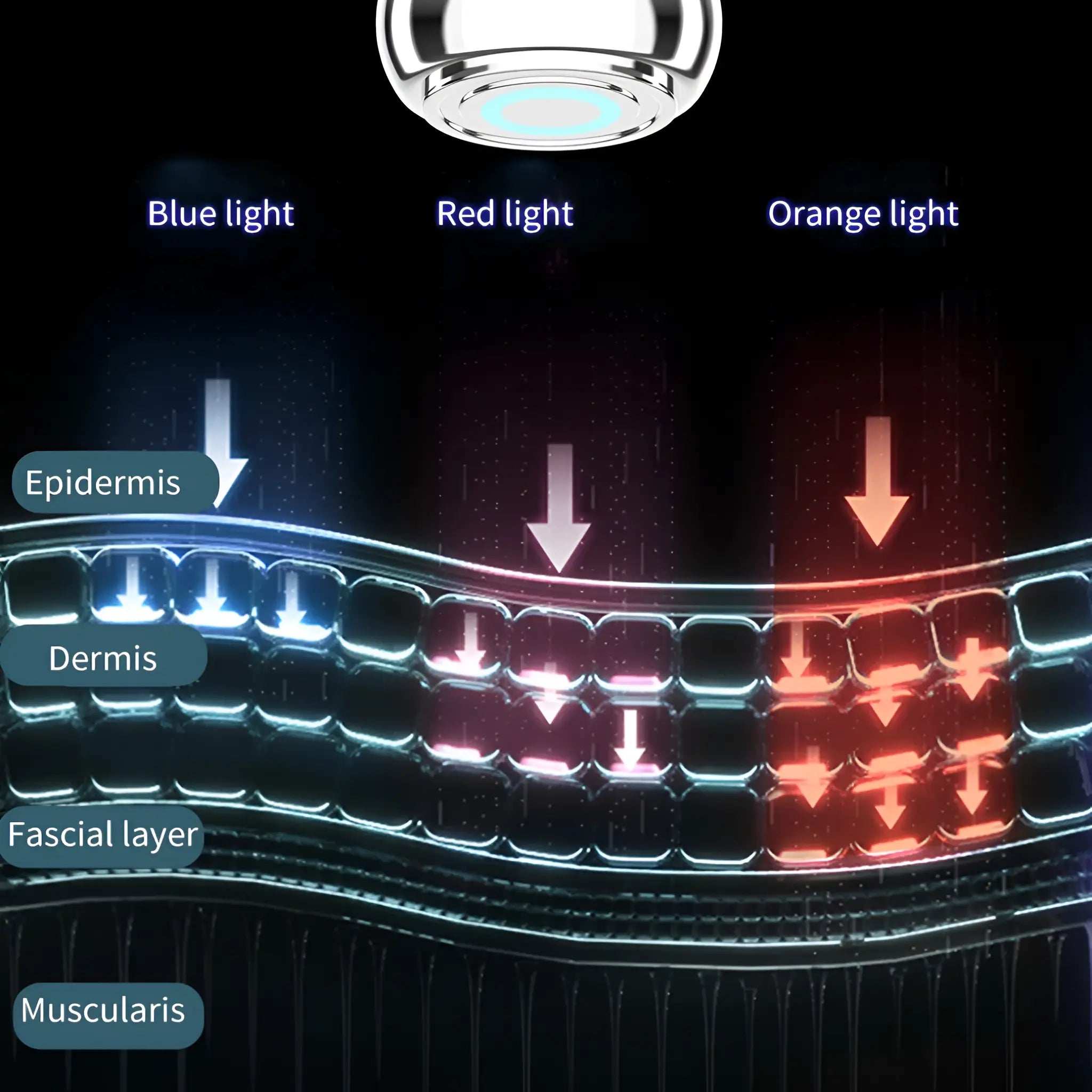 Facial Massager - EMS RF Beauty Instrument - Face Lifting Machine - Sonic Vibration Machine - onlinemegasale.com