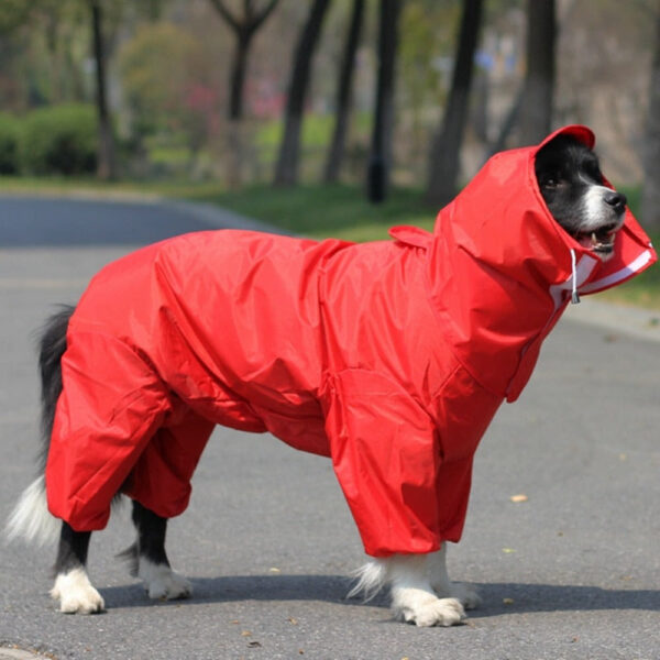 Outdoor Waterproof Dog Raincoat