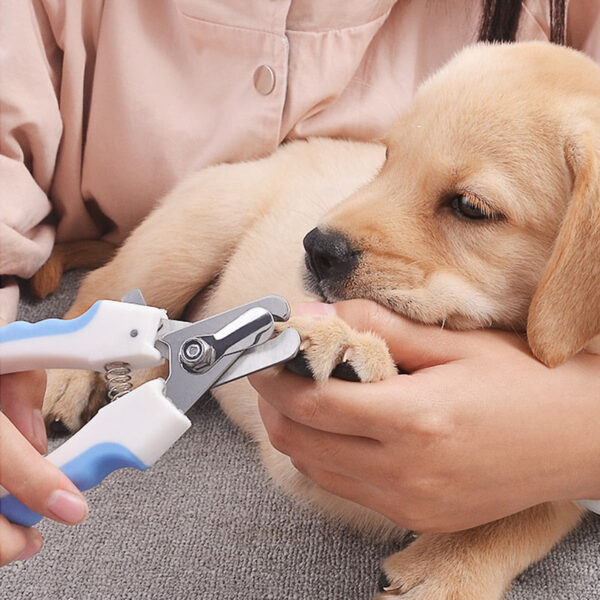 Pet Nail Clippers Dog Nail Toe Claw Clippers Scissors