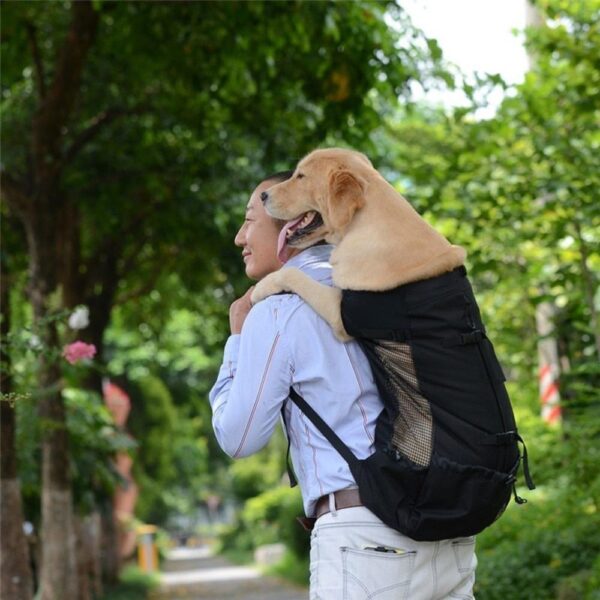 Dog Backpack Carrier Hiking Bag