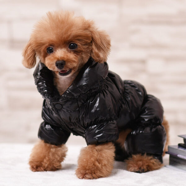 Warm Dog Winter Coat Jacket
