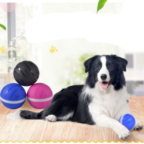 Waterproof Pet Anti-Bite Wicked Playing Ball