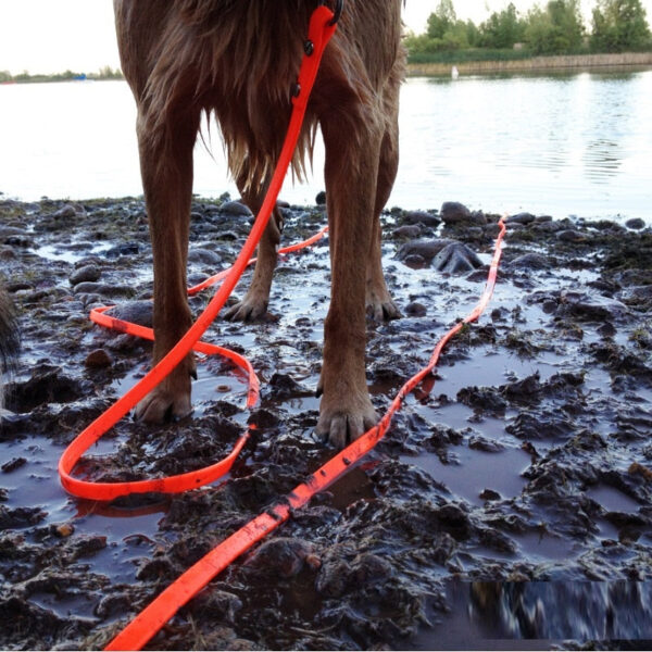 Dog Leash Outdoor Waterproof Durable Training Rope