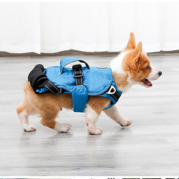 Dog Chest Carrier Harness Backpack with Walking Lead