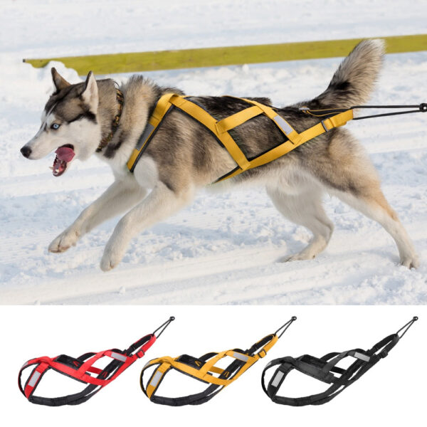 Waterproof Reflective Dog Harness for Sledding & Outdoor Adventures