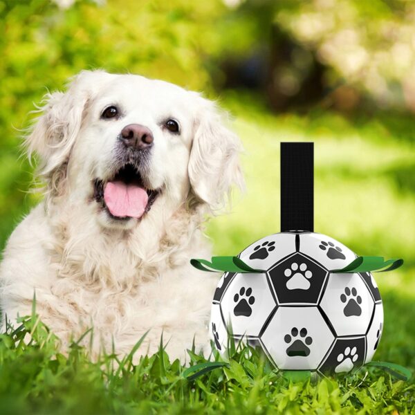 Durable Dog Ball IQ Puzzle Chew Toy Ball - 6.5in