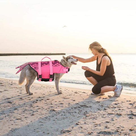 Dog Shark Life Jacket Swimsuit Vest - onlinemegasale.com