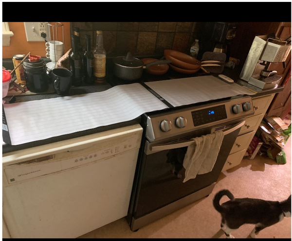 Smart Safety LED Pet Training Mat with Gentle Shock - onlinemegasale.com