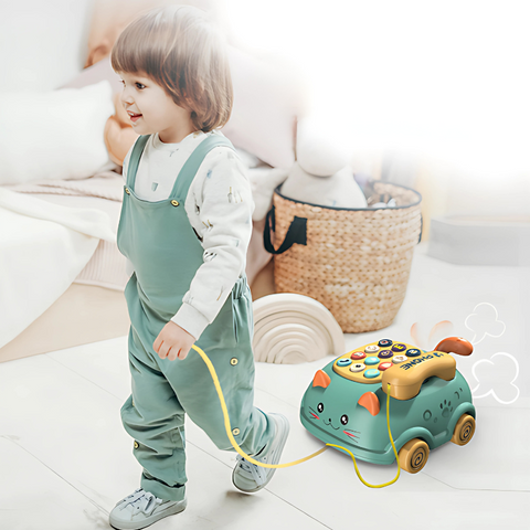 WhiskerPhone - onlinemegasale.com