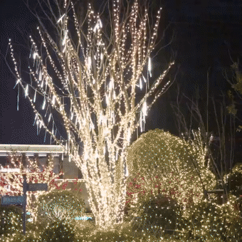 🎄Last chance to grab the deal! 50% off on the stunning Snowy LED Lights - onlinemegasale.com 🎄Last chance to grab the deal! 50% off on the stunning Snowy LED Lights - onlinemegasale.com