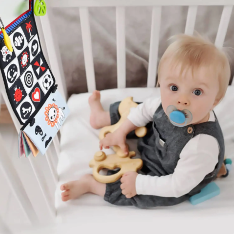 SensoryFun - onlinemegasale.com