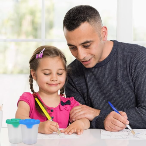 PaintGuard - onlinemegasale.com