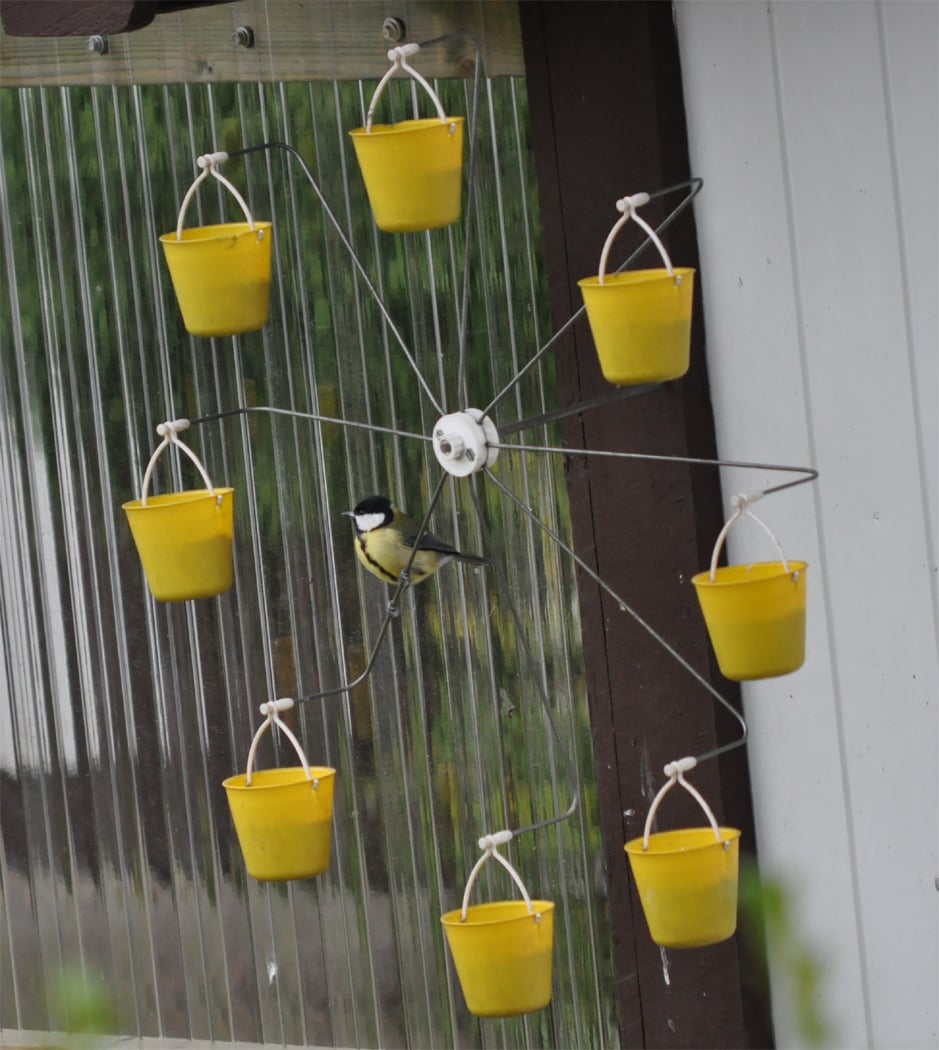 Ferris Wheel Bird Feeder 🐦 - onlinemegasale.com