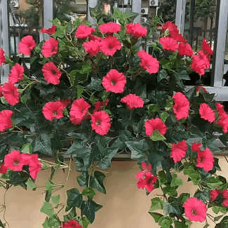 ✨This Week's Special Sale 70% Off - UV Simulation Artificial flower - onlinemegasale.com