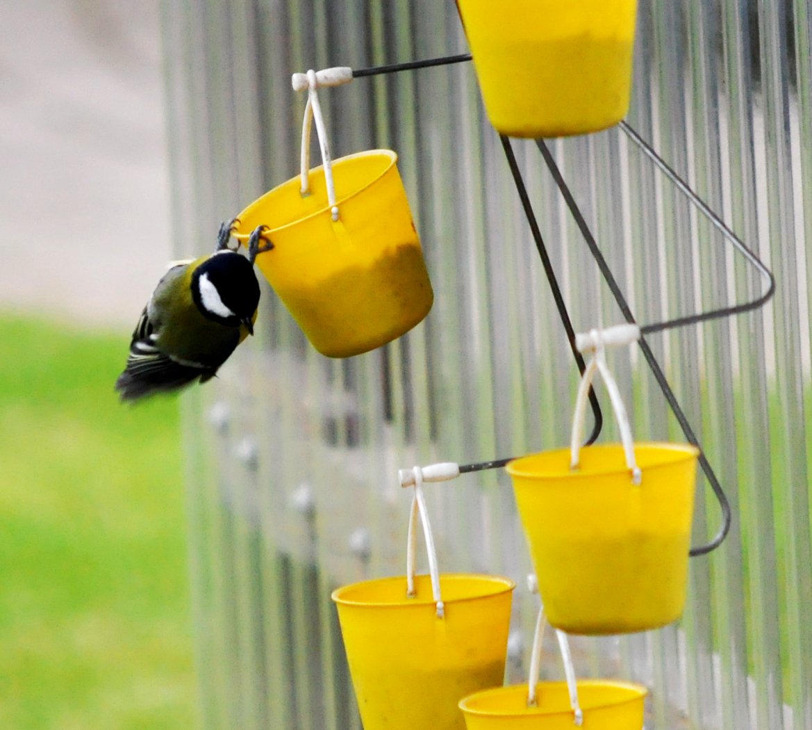 Ferris Wheel Bird Feeder 🐦 - onlinemegasale.com