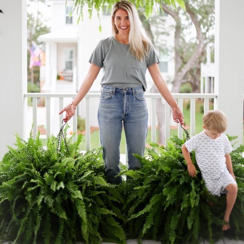 💥This Week's Special Price $18.98🌱UV Resistant Lifelike Artificial Boston Fern - onlinemegasale.com