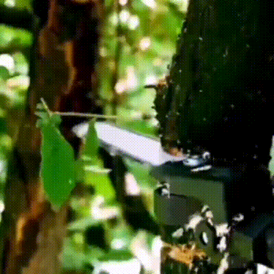 6 Inch Electric Drill Modified To Electric Chainsaw Drill Attachment - onlinemegasale.com