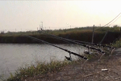 🎣 Automatic Fishing Rod Holder - onlinemegasale.com