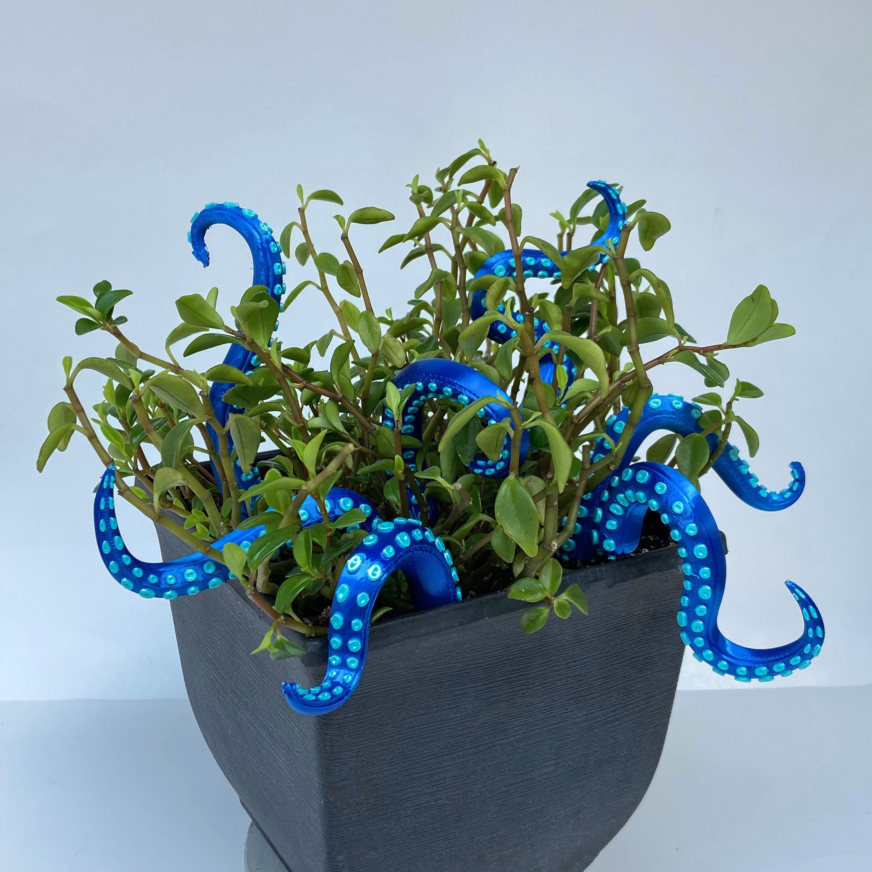 (BUY MORE SAVE MORE) - Set of 7 Sea monster Tentacles - onlinemegasale.com