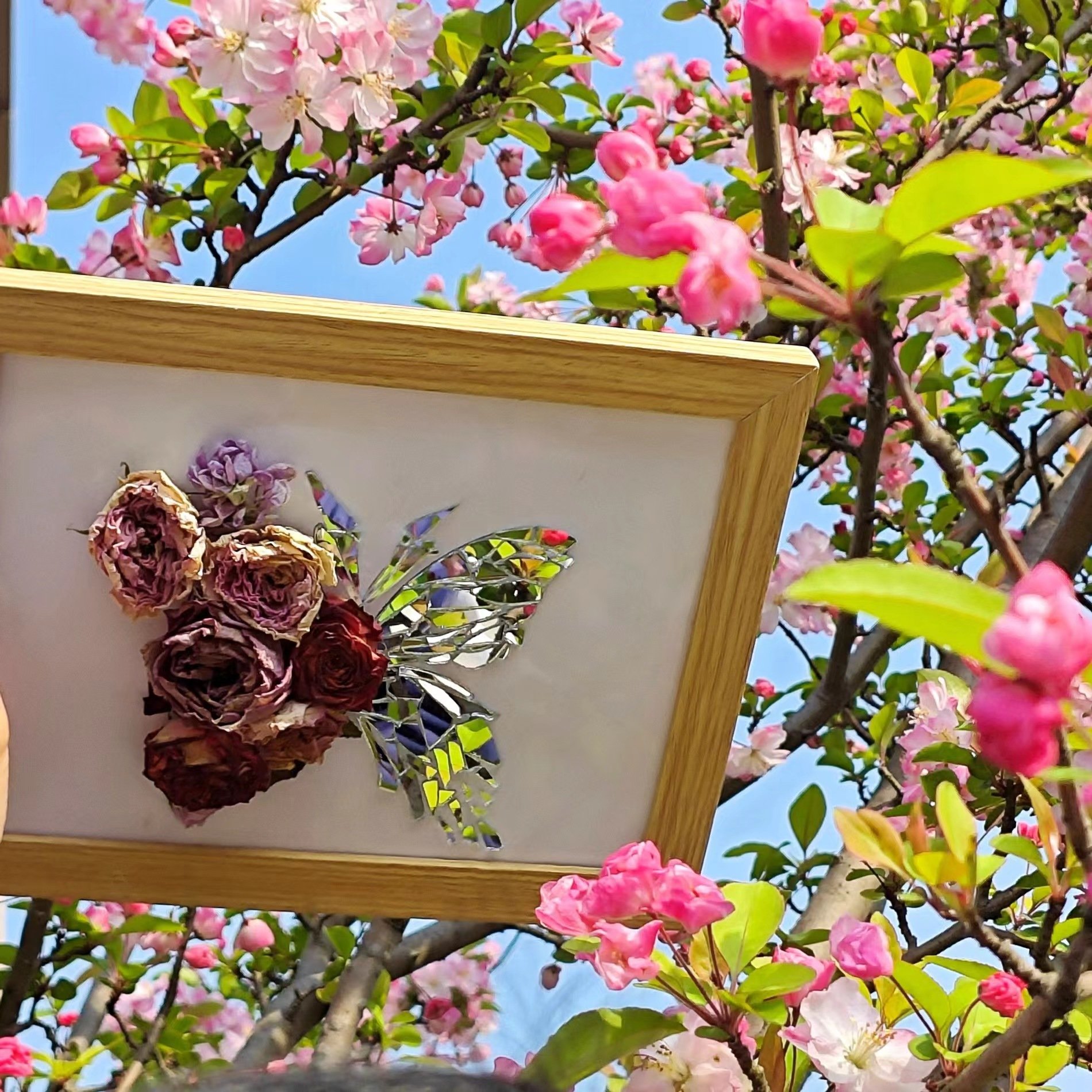 Creative handmade DIY - 🦋Butterfly Broken Mirror Photo Frame - onlinemegasale.com Creative handmade DIY - 🦋Butterfly Broken Mirror Photo Frame - onlinemegasale.com