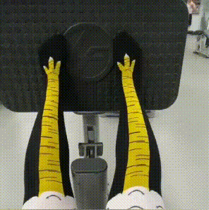 🔥Last day! 💥Special sale - Chicken Legs Socks - onlinemegasale.com