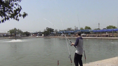 🎣 Automatic Fishing Rod Holder - onlinemegasale.com 🎣 Automatic Fishing Rod Holder - onlinemegasale.com